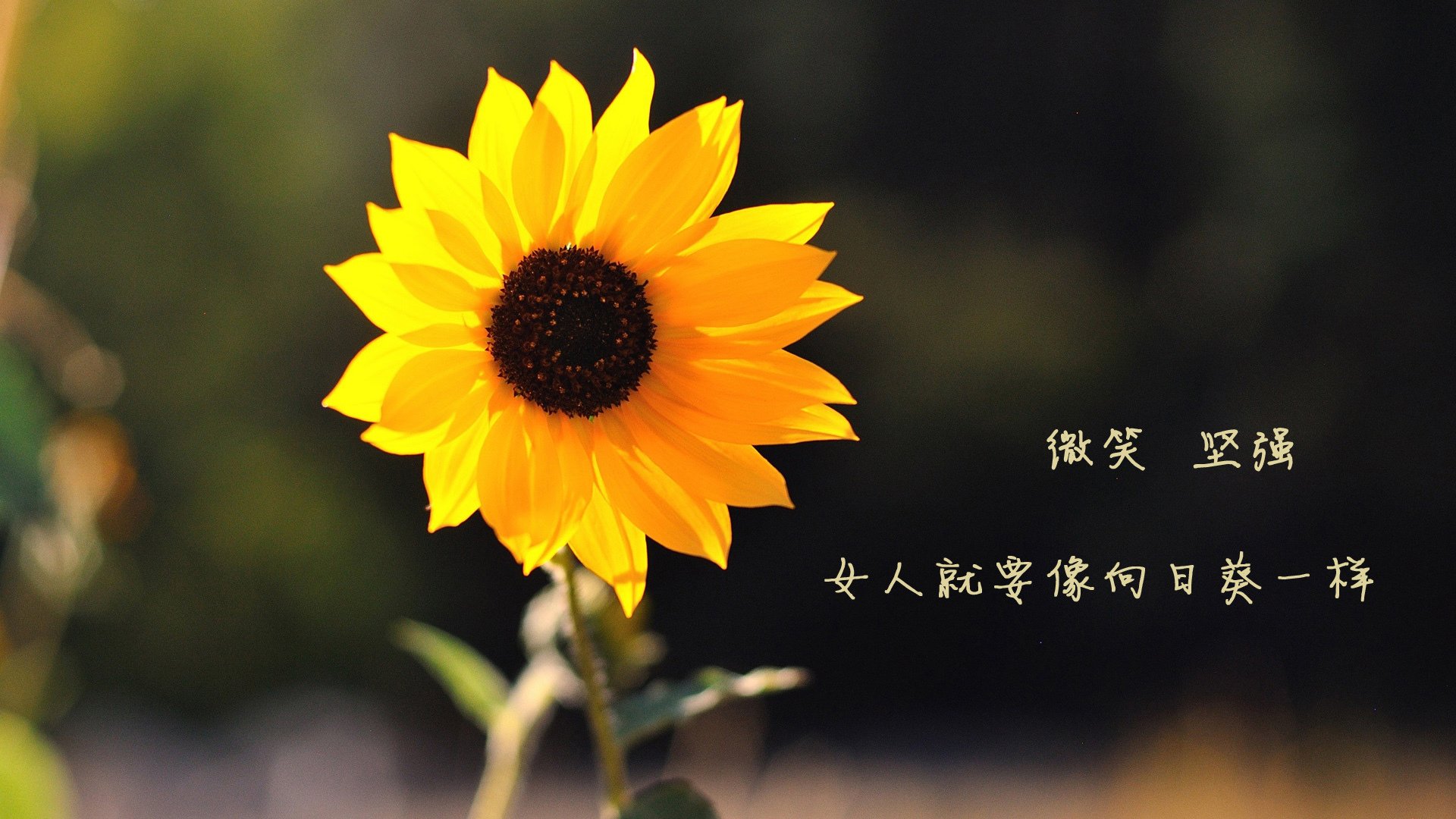 字母哥末节19分神迹！马刺加时险胜老鹰，状元对决见证新王诞生