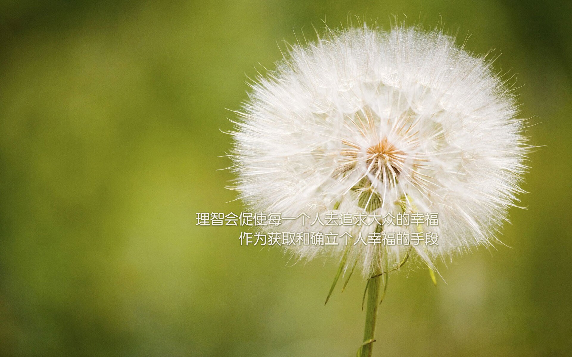 奇迹之夜！新西兰无名英雄门迪三度救主，硬撼德甲巨头勒沃库森