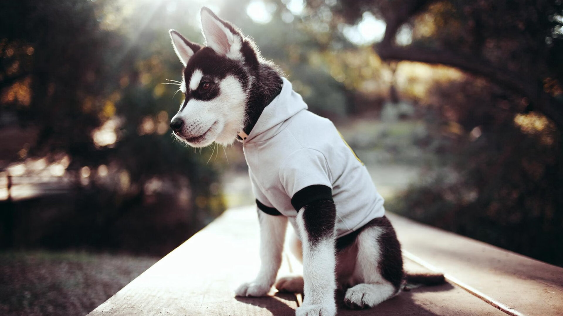 楚阿梅尼闪耀梦剧场，曼联完胜哥斯达黎加背后的战术革命