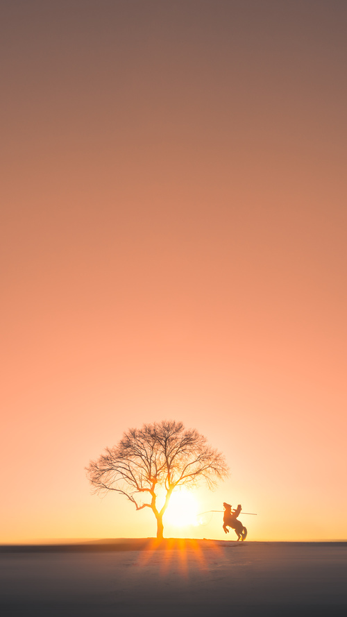 星光为刃，欧文在万众注目的战场上为独一正名