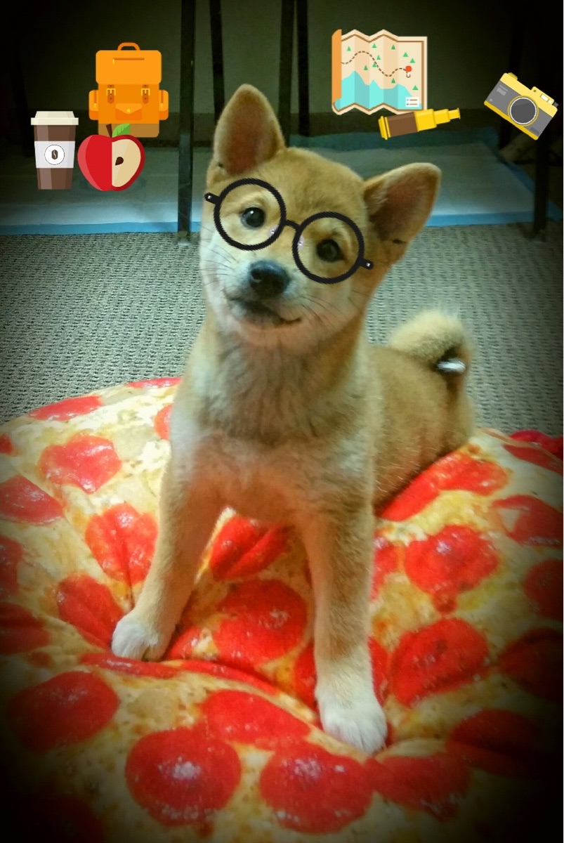 钢铁防线与灵巧匕首的对抗，亚特兰大如何打穿克罗地亚，范戴克一锤定音