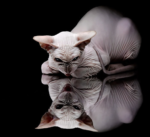 铁树开花之夜，当德里赫特化身禁区火炮，季后赛抢七的天平因他倾斜