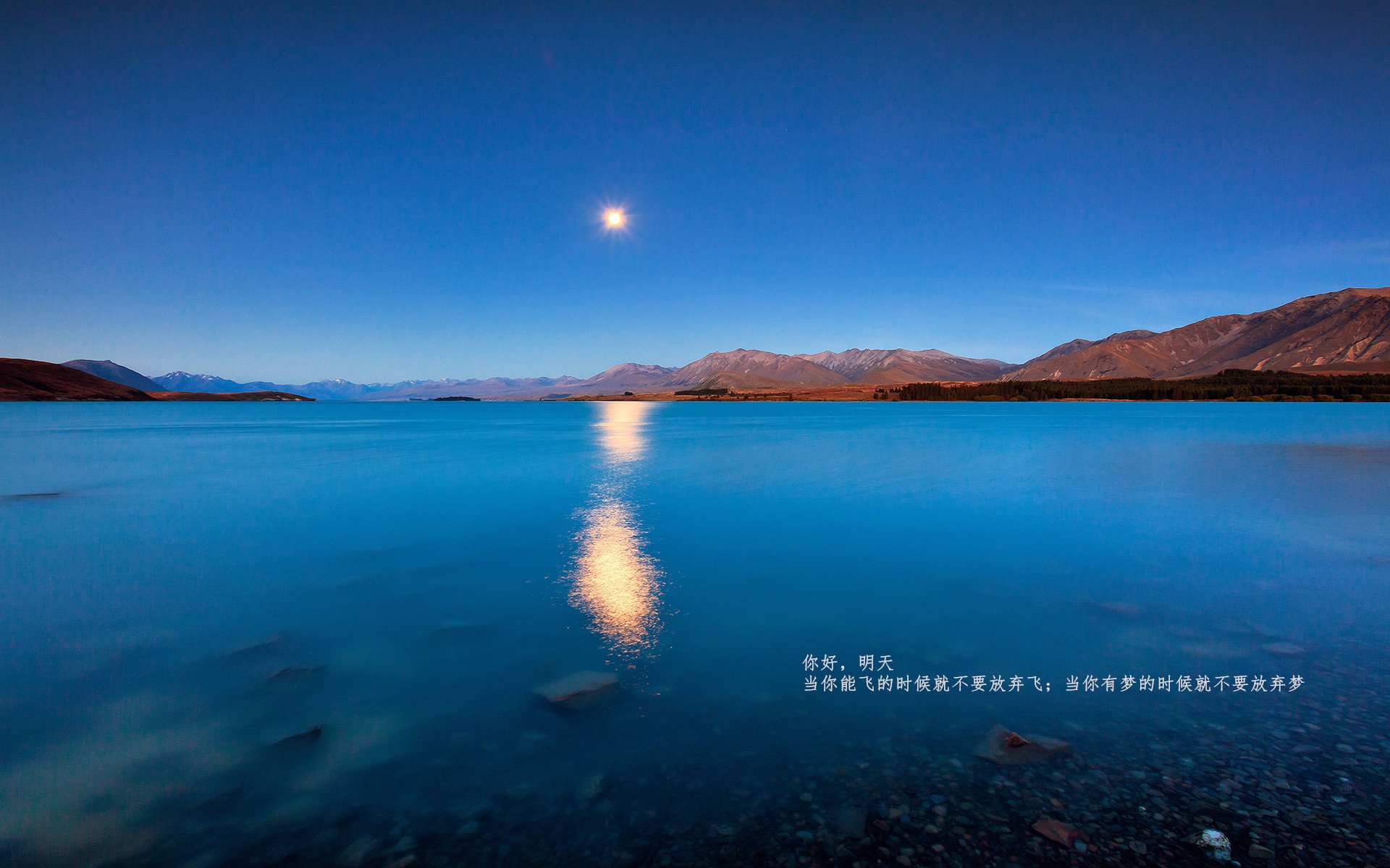 孔德制造惨案！亚特兰大四球踏平北非之狐