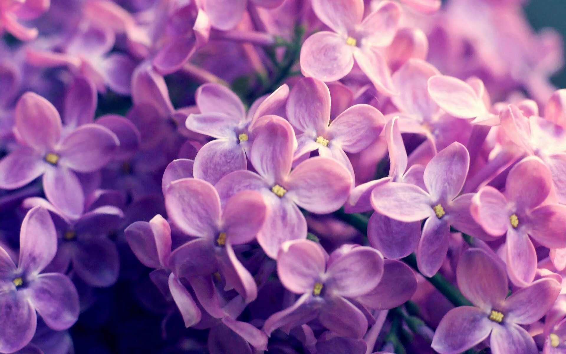 当世界杯遇上黄土高原，2026焦点战中奇才队强行终结山西奇迹