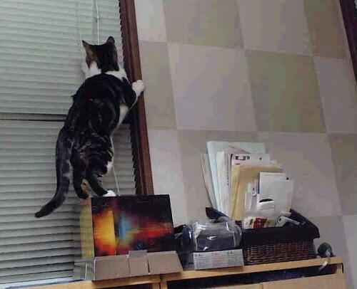 迈阿密凌晨五点的篮球，正在大西洋对岸的欧冠决赛上演