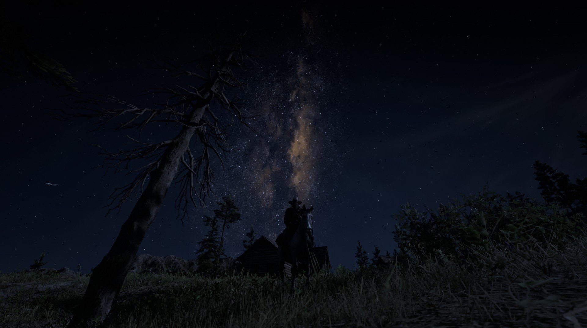 开云体育中国-一箭定江山，帕尔默四两拨千斤，突尼斯苦吞提前出局苦果