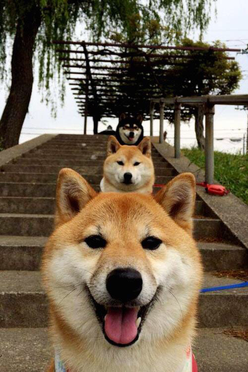 宿命交织之夜，当湖人的坚韧遇上西亚卡姆的救赎