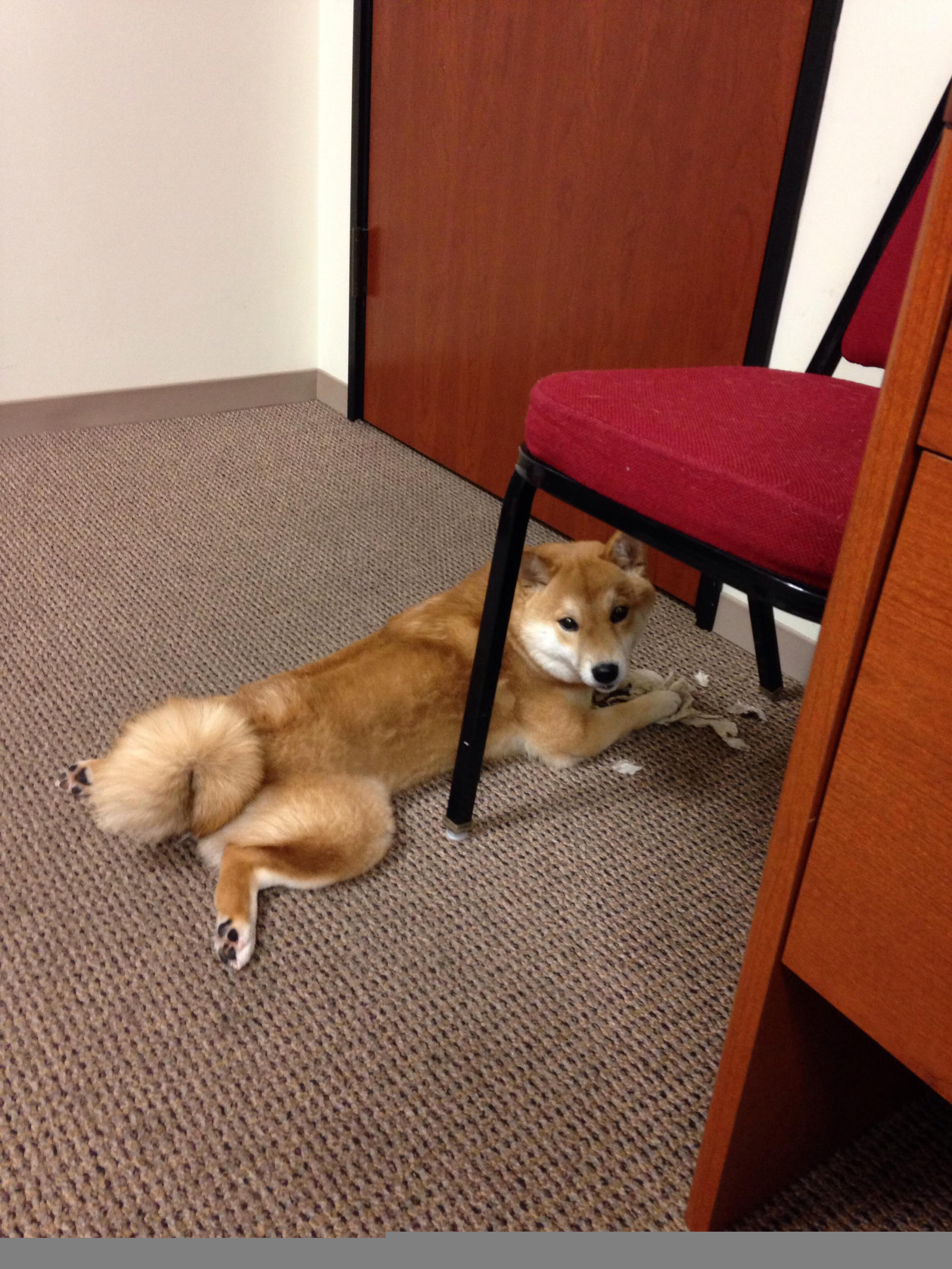 开云体育app-当赛车咆哮时，他在绿茵场上加速—卡瓦哈尔的生涯之夜与F1的喧嚣共舞