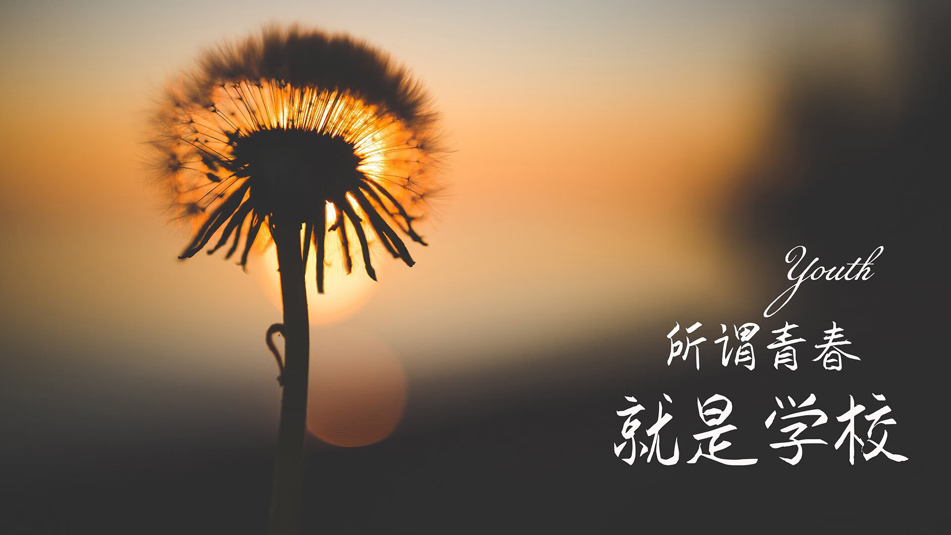 北欧风暴,当萨卡的血脉与瑞典铁骑共震,勒沃库森的北欧铁三角悄然成型