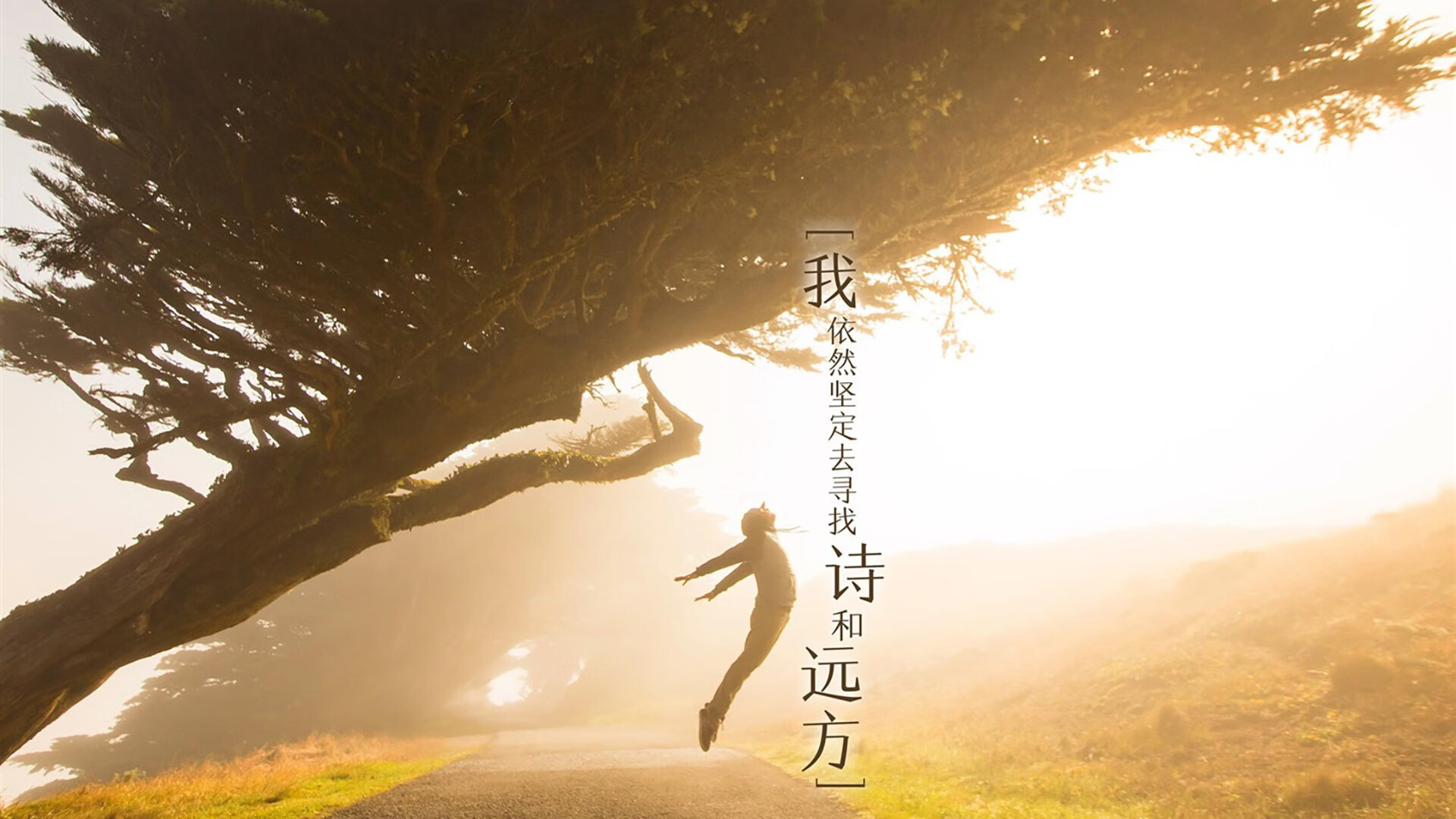唯一的天命,哈兰德封神之夜,墨西哥足球如何用碾压写就2026世界杯H组的唯一剧本
